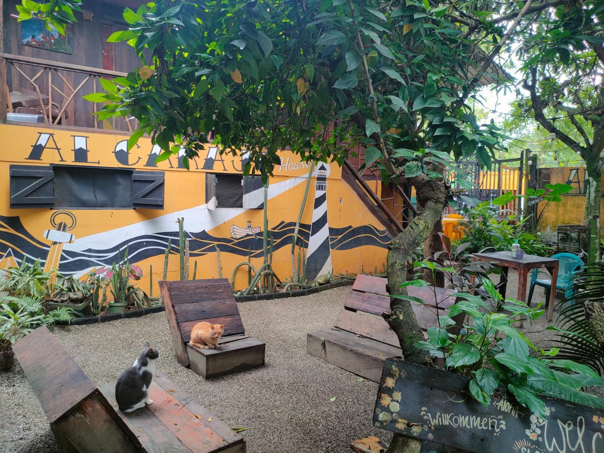 Al Carajo House Backpackers Host Hostel Montañita Kültér fotó